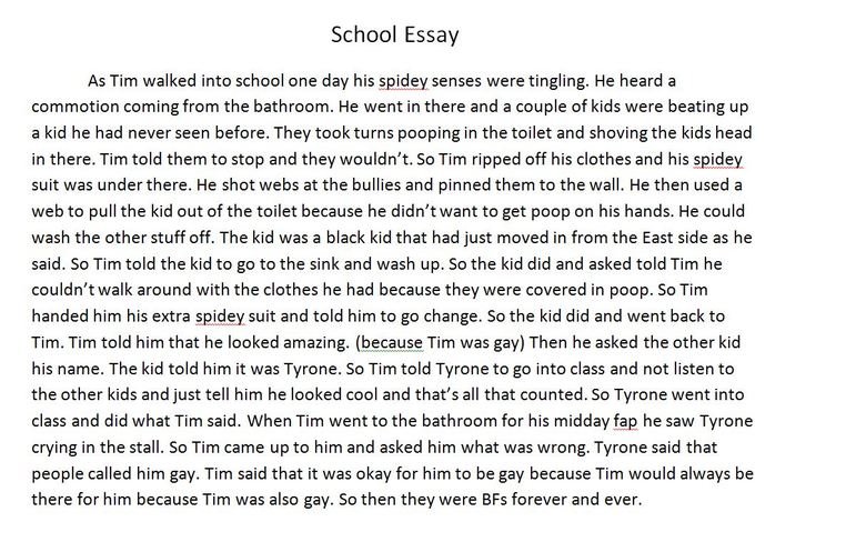 essays about my school